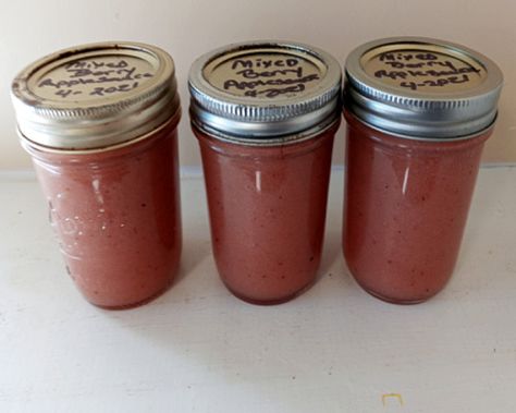 Home Canning Mixed Berry Applesauce with Recipe and Tips - The Classy Chics Mixed Berry Applesauce, Berry Applesauce, Apple Recipes For Canning, Canning Applesauce, Canned Applesauce, How To Make Applesauce, Easy Canning, Canning Fruit, Canning Food