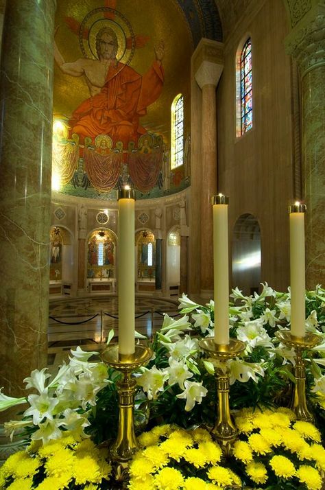 National Shrine of The Immaculate Conception! Marian Shrines, The Immaculate Conception, The Blessed Virgin Mary, Immaculate Conception, Roman Catholic Church, Blessed Virgin, Blessed Virgin Mary, Roman Catholic, Pilgrimage