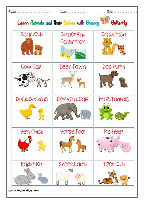 Animals and Babies| Young Ones Chart with Pictures - LearningProdigy - Charts - Animals And Their Young Ones, Young Ones Of Animals, Preschool Body Theme, Animals And Their Homes, Farm Animals Preschool, Baby Chart, Baby Animal Names, Senses Preschool, English Activities For Kids