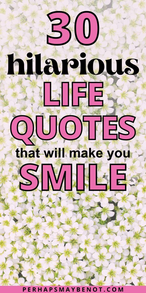 Need a good laugh? Look no further than these hilarious quotes about life #quotes #lifequotes #funnyquotes The New You Quotes, What’s Up Buttercup Sayings, Motivational Quotes Humor, No News Is Good News Quotes, Happy Quotes About Life Smiles Funny, Funny Quotes About Life Humor Jokes, Parkinson’s Quotes, Short Quotes About Growing Up, Uplifting Quotes For Teachers