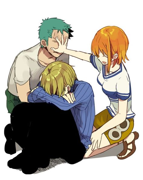 Sanji X Nami X Zoro, One Piece Sanji X Nami, Zoro Y Sanji, Sanji X Zoro, Zoro And Sanji, One Piece Art, Sanji Nami, Zoro Sanji, Zoro Nami