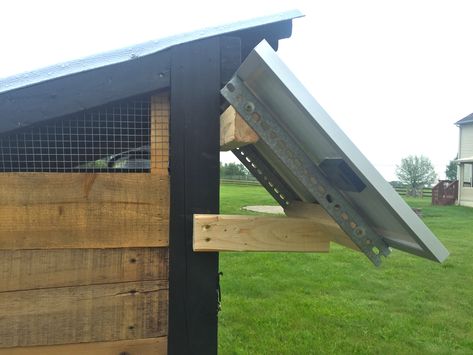 Best Egg Laying Chickens, Egg Laying Chickens, Coop Plans, Keeping Chickens, Free Range Chickens, Building A Chicken Coop, Chicken Coop Plans, Green Power, Chicken Runs