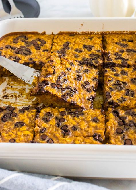 Pumpkin Chocolate Chip Baked Oatmeal Halloween Breakfast, Squash Varieties, Baked Oatmeal Recipes, Pumpkin Spice Syrup, Pumpkin Chocolate Chips, Baked Oatmeal, Hearty Breakfast, Pumpkin Chocolate, Baked Pumpkin