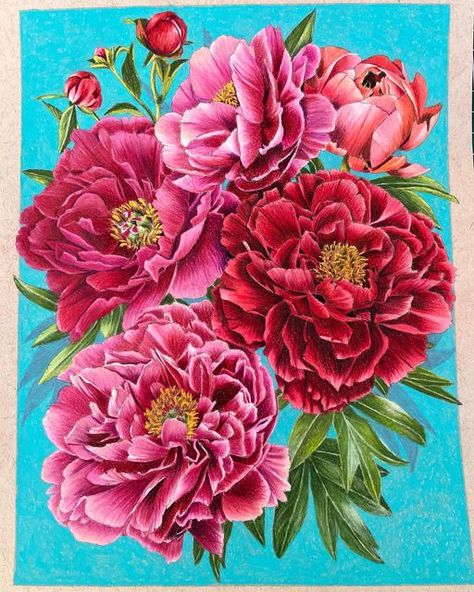 Lunar New Year Coloring Page, Chris Cheng, Coloring Videos, Favourite Flowers, Happy Lunar New Year, Coloring Tutorial, Color Pencil Art, Coloring Book Art, Color Stories