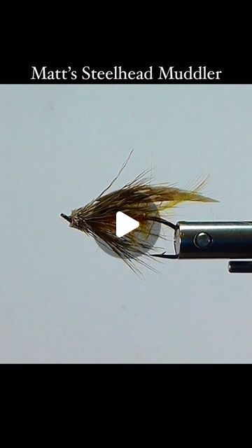 Sport Fishing On The Fly on Instagram: "Brent Schlenker, the Fly Tyin’ Cowboy, ties Matt’s Steelhead Muddler. Excellent pattern for Steelhead, Trout, and Pacific Salmon.

Watch the FULL version on our YouTube Channel or website (member section).
.
.
.
.
.
#dryfly #troutflies #flytyingnation #flyfishingbc #sfotf #sportfishingonthefly #troutfly #flytying #flyfishing #hardyflyfishing #mauijim #troutwaters #authentictshirtcompany #firsttelleriumcorp #humminbirdfishing #welovehardyflyfishing" Pacific Salmon, Steelhead Trout, Steelhead Flies, T Shirt Company, Sport Fishing, Maui Jim, The Fly, Fly Tying, Fly Fishing