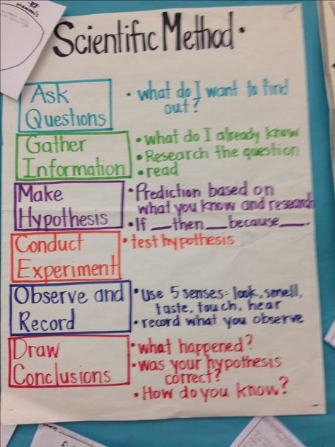 Scientific Method                                                                                                                                                      More 8th Grade Science Classroom, Science Projects Ideas, 8th Grade Science Fair Projects, Science Fair Projects Ideas, Scientific Method Anchor Chart, 8th Grade Science Projects, School 8th Grade, Science Lessons Middle School, Middle School Science Classroom