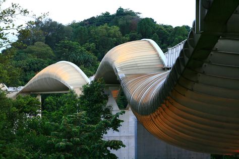 Most Beautiful Bridges in the World Photos | Architectural Digest Henderson Waves, Trestle Bridge, Beautiful Bridges, Architecture Antique, Santiago Calatrava, Putrajaya, Hill Park, East River, Singapore Travel