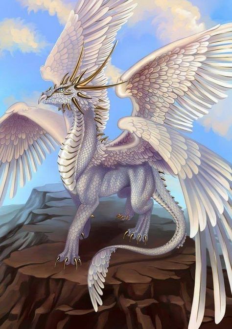 White Dragon by Saari Wind Dragon, Cool Dragons, Dragon Girl, Beautiful Dragon, Japanese Dragon, Dragon Pictures, Dragon Wings, White Dragon, Dragon Artwork