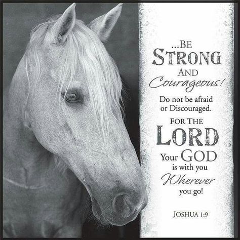 Love this verse Woord Van God, Inspirational Horse Quotes, Horse Riding Quotes, Equestrian Quotes, Cowboy Quotes, Cowgirl Quotes, Riding Quotes, Country Girl Quotes, Country Quotes