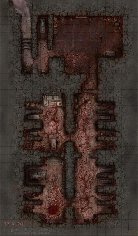 Unsettled Tomb [Plus variant] [17x29] [battlemap] [OC]: battlemaps Pathfinder Maps, Forest Map, Fantasy City Map, Dnd World Map, Fantasy World Map, Tabletop Rpg Maps, Rpg Map, Have A Great Week, Dungeon Maps