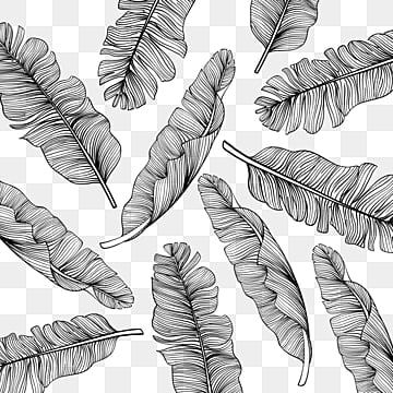 banana leaf,leaf,shading,line,leaf clipart,line clipart Leaf Shading, Line Clipart, Line Png, Leaf Clipart, Leaf Drawing, Leaf Background, Banana Leaf, Png Transparent, Clipart Images