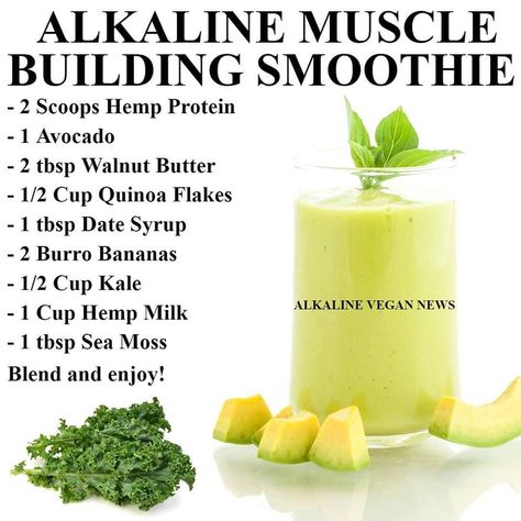 Alkaline Awareness on Instagram: “💪🏿💪🏿💪🏿💪🏿💪🏿💪🏿💪🏿💪🏿 . . #drsebi #naturally #drsebian #drsebiapprovedingredients #nyvegans #drsebirecipes #naturalliving #drsebilives…” Alkaline Protein, Alkaline Desserts, Alkaline Smoothie, Estrogen Rich Foods, Dr Sebi Alkaline Food, Dr Sebi Recipes, Vegan Protein Shake, Alkaline Vegan, Alkaline Diet Recipes