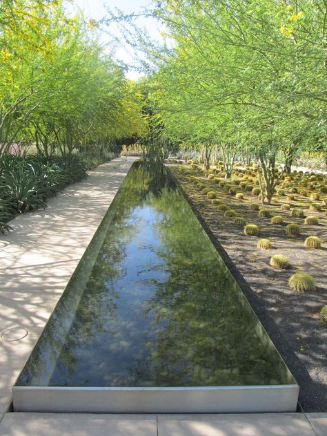 Water Mirror, Waterscape Design, Kolam Koi, Water Fountain Design, Garden Water Feature, Fountain Design, Reflecting Pool, Water Features In The Garden, Roof Garden