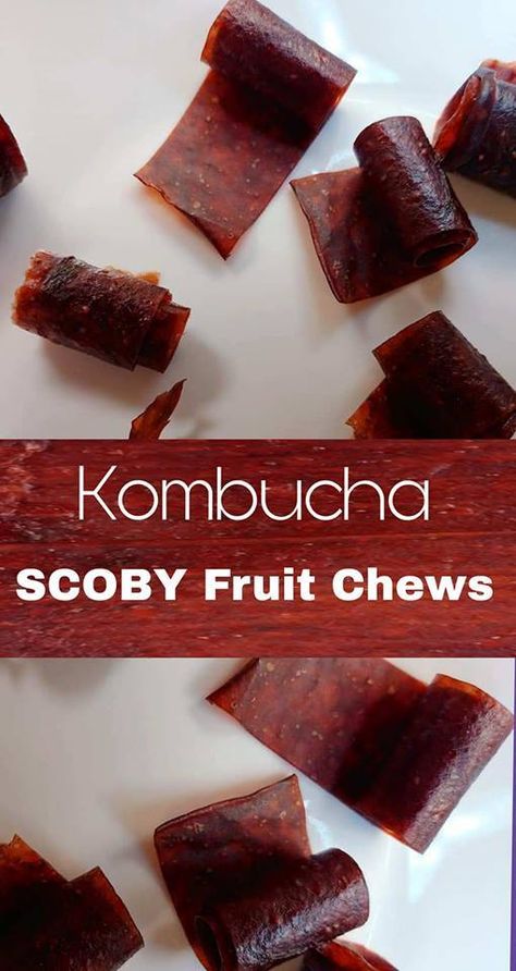 Scoby Recipes, Scoby Hotel, Make Kombucha, Kombucha Flavors, Kombucha Scoby, Homemade Kombucha, Kombucha Recipe, Fermented Veggies, Fruit Chews