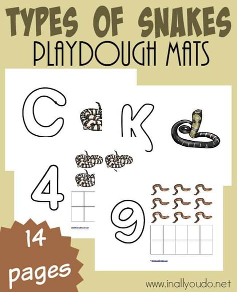 These Types of Snakes are a great way to help kids work on their fine motor skills as well as letter and number recognition all while "playing" and having fun! Get them FREE today! :: www.inallyoudo.net Types Of Snakes, Preschool Certificates, Types Of Snake, Kids Work, Playdough Mats, Kindle Reader, Homeschool Encouragement, Number Recognition, Preschool Themes