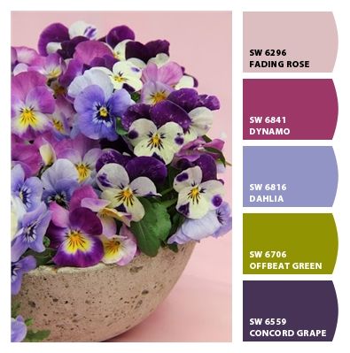 Paint colors from ColorSnap by Sherwin-Williamsj Pansy Color Palette, Pansy Arrangements, Purple Flower Color Palette, Butterfly Pallet Color Palettes, Purple Pansy Flowers, Viola Flower, Green Bottom, Pansies Flowers, Color Palette Design