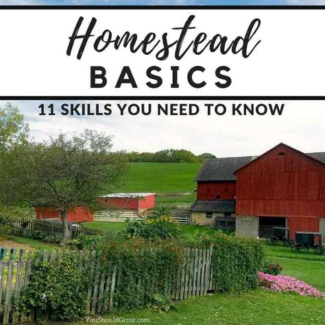 Homestead Skills, Homesteading Diy, Homestead Farm, Homesteading Skills, Garden Pest Control, Easy Backyard, Homestead Survival, Backyard Farming, Chicken House