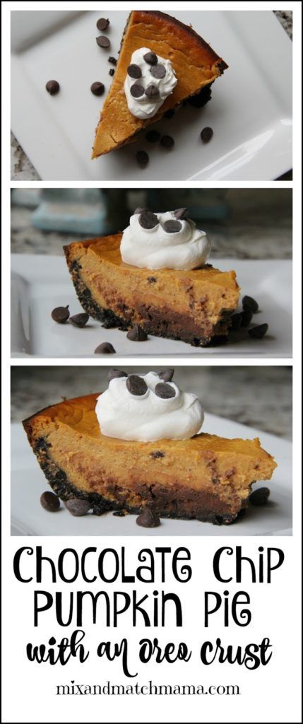 Chocolate Chip Pumpkin Pie With An Oreo Crust Recipe | Mix and Match Mama Oreo Crust Recipe, Fall Yummies, Pie For Thanksgiving, Chocolate Chip Pie, Pumpkin Spice Cheesecake, Fall Recipes Pumpkin, Pumpkin Treats, Pumpkin Coffee Cakes, Oreo Cookie Crust