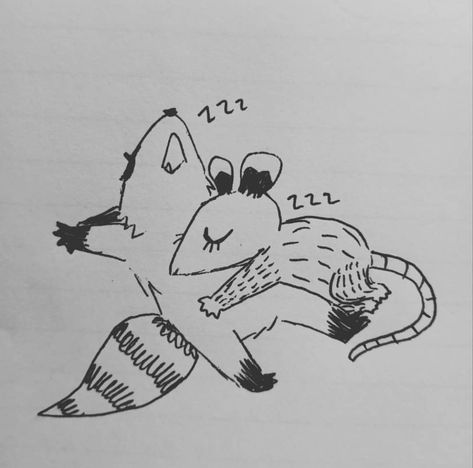 Cute Opossum Drawing, Raccoon And Possum Matching Tattoo, Possum Drawing Easy, Opposum Drawings, Racoon And Possum, Possum Doodle Easy, Cute Possum Drawings, Cute Possums Drawings, Raccoon And Possum Tattoo