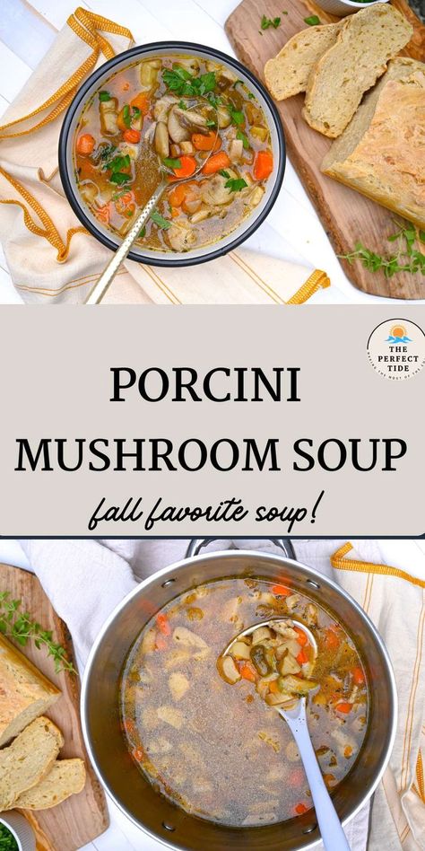 One of the best porcini mushroom recipes is the Porcini Mushroom soup that's the perfect comforting fall soup! With wild mushrooms after a fun day of foraging in the PNW! Porcini Mushroom Recipes, Porcini Soup, Wild Mushroom Recipes, Porcini Mushroom, Mushroom Soup Recipe, Mushroom Recipe, Fall Soup, Mushroom Soup Recipes, Porcini Mushrooms