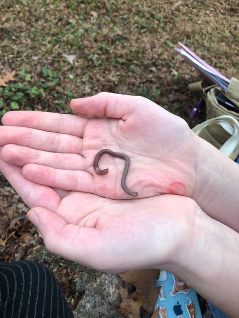 my friend tatum holding a worm :) Muddy Hands Aesthetic, Bandaged Knee Aesthetic, Hands In Dirt, Tatum Core Aesthetics, Tatum Core, Carson Core, Worms Aesthetic, Kai Core, Summer Visionboard