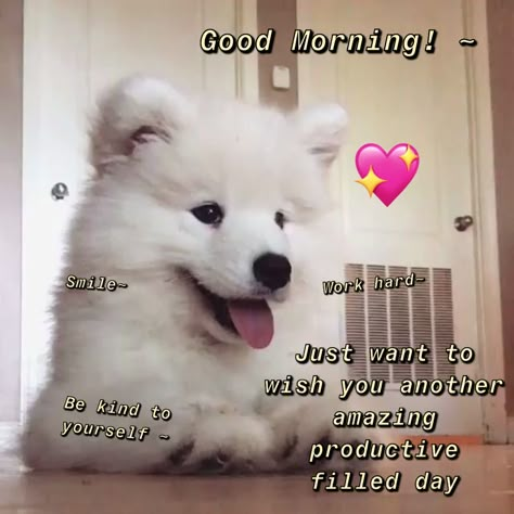 Good Morning Wholesome, Good Morning Love Meme, Goodmorning Cute, Good Morning Meme, Love Quotes For Crush, Good Night Cat, Wholesome Pictures, Cute Animal Quotes, Bear Quote