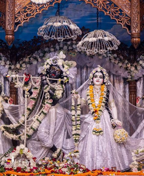 Radha Madhav Iskcon, Radha Madhav Iskcon Mayapur, Iskcon Mayapur, Jay Shree Ram, Sanatan Dharma, Forever Mine, Wallpaper Photo Gallery, Floral Wallpaper Iphone, Hindu Dharma