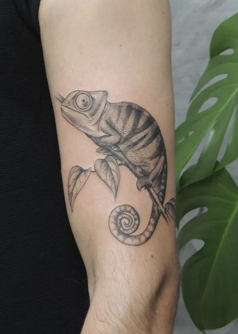 Chameleon Tattoo Realistic, Chameleon Tattoo Simple, Hipster Tattoos, Chameleon Tattoo, Lizard Tattoo, Hipster Tattoo, Animals Tattoo, Line Work Tattoo, Tattoo Sleeve