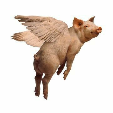 Flying Pigs Art, Pig Clipart, Pig Png, Pitch Dark, Pig Drawing, Pig Art, This Little Piggy, Flying Pig, Little Pigs