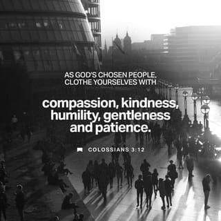 Colossians 3:12-17 Therefore, as God’s chosen people, holy and dearly loved, clothe yourselves with compassion, kindness, humility, gentleness and patience. Bear with each other and forgive one another if any of you has | New International Version (NIV) | Download The Bible App Now Open Heaven, Chosen Ones, Youversion Bible, Amplified Bible, Godly Life, New American Standard Bible, Audio Bible, Bible Plan, Bible Versions