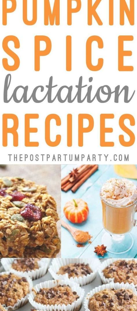 It’s officially fall, which means I want pumpkin spice EVERYTHING! Whip up these pumpkin lactation recipes to help boost your milk supply and enjoy some pumpkin flavored fall treats! Healthy Breastfeeding Snacks, Healthy Lactation Cookies, Breastfeeding Snacks, Breastfeeding Benefits, Recipes For Fall, Pumpkin Spice Recipe, Breastfeeding Foods, Lactation Recipes, Pumpkin Spice Everything