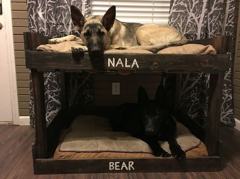 Two story dog bed. Multiple Dog Bed Ideas, Diy Dog Couch, Bed Made Out Of Pallets, Pet Bed Diy, Creative Dog Bed, Easy Dog Bed, Dog Bunk Beds, Pet Furniture Dog, Dog Beds Homemade