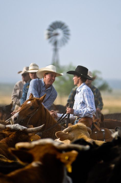 Wrangler Butts, Ranch Horses, Ranches Living, Cowboys And Angels, Cowboy Life, American Cowboy, Cow Boys, Cowboy Stuff, Cowboy Pictures