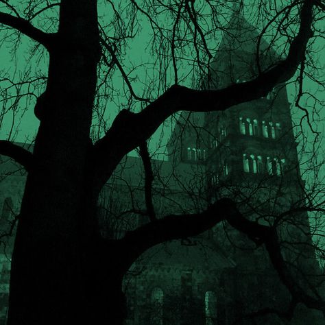 #slytherin #hogwarts #greenway #foryoupage #draco #dracoluciusmalfoy #slytherin #green #softgreen #pinterest #fyp #softaesthetic Dark Forest Aesthetic, Dark Fairycore, Dark Green Aesthetic, Hogwarts Aesthetic, Slytherin Aesthetic, Different Aesthetics, Aesthetic Colors, Green Wallpaper, Dark Forest