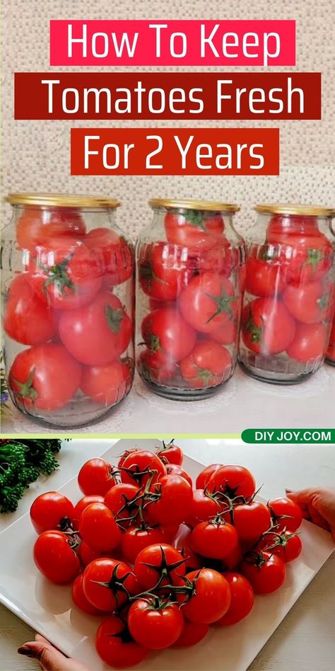 How To Bottle Tomatoes, Storing Tomatoes For Winter, How To Make Tomatoes Last Longer, Best Tomatoes For Canning, How To Store Tomatoes From Garden, How To Preserve Tomatoes Without Canning, How To Keep Tomatoes Fresh Longer, Save Tomatoes, Keep Tomatoes Fresh