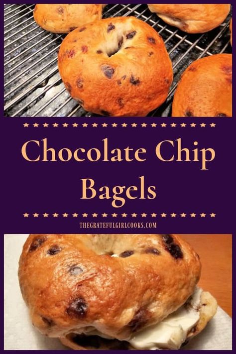 Chocolate Chip Bagels - The Grateful Girl Cooks! Chocolate Chip Bagel Recipe, Chocolate Chip Bagels, Bagels Homemade, Chocolate Chip Sourdough, Sourdough Bagel, Starter Sourdough, Bagels Recipe, Sourdough Bagels, Sourdough Recipe