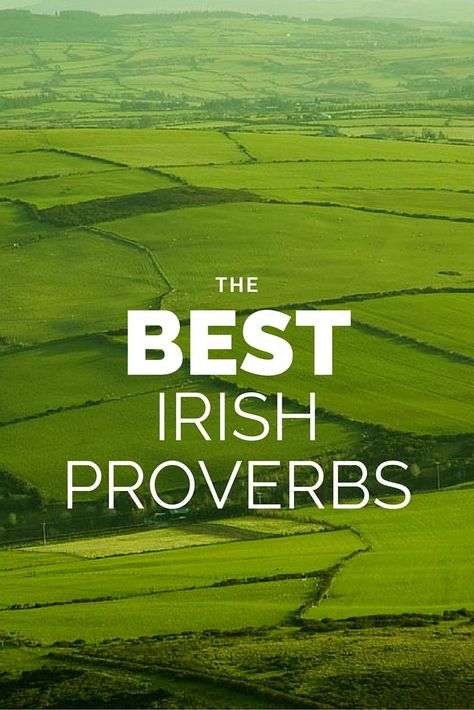 Irish Proverbs Inspiration, Irish Thank You Quotes, Top Of The Morning Quotes Irish, Irish Sayings Gaelic, Irish Blessings Funny, Irish Family Quotes, Irish Sayings Quotes Proverbs, Irish Proverbs Funny, Irish Blessing Quotes Funny