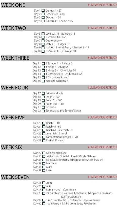 40 day Bible Reading Plan. I want to try to do this during a 40 day fast. The point being not to study every verse for its intricacies and details but rather to take in the Word and just absorb it and see its majesty from a birds eye view. If something particularly jumps out at me, I'll note it to study in more detail during my bible study times. This daily reading should only take 45 minutes. I think I can sacrifice that much TV Time :) Bible In 60 Days, Bible Reading Timetable, 40 Day Spiritual Fast, 40 Days Bible Reading Plan, 30 Day Bible Study Plan, Bible In 90 Days Plan, The Disciple Fast, 30 Days Bible Reading Plan, 40 Day Fasting And Prayer Plan