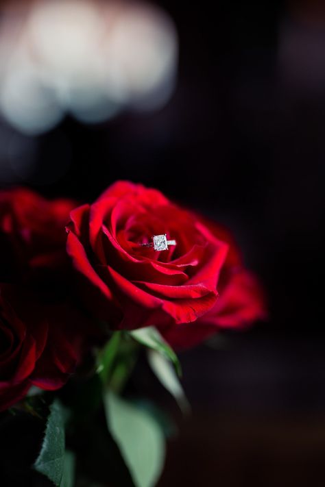 Engagement Ring Rose C Photo, Engagement Ring Photos, Ring Shots, Charlotte Wedding, Engagement Pics, Rose Engagement Ring, Book Boyfriends, Engagement Shoot, The Roof