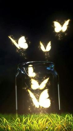 Glowing Butterflies, Milky Way Photos, Romantic Fantasy, Hd Wallpapers For Mobile, Shine Your Light, Wallpaper Animes, Divine Light, Noragami, Perfect Image