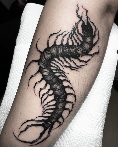 Dark Centipede Tattoo, Centipede Neck Tattoo, Centipede Leg Tattoo, Centepide Tattoo Arm, Centapeid Tattoo Design, Cool Centipede, Traditional Centipede Tattoo, Tokyo Ghoul Centipede Tattoo, Tokyo Ghoul Centipede