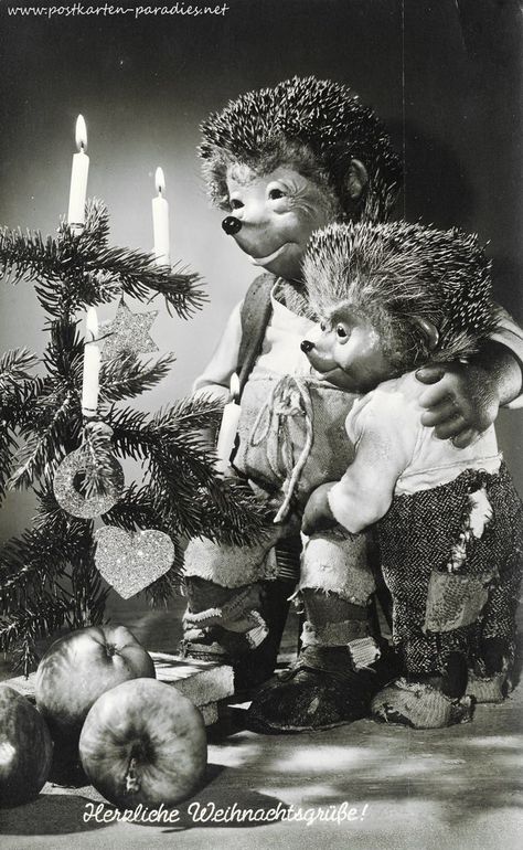 weihnachtskarten 1943 | weihnachten mecki ca 1950er jahre weihnachtskarte mit fransen schweden ... German Christmas, Boho Christmas, Boyds Bears, Christmas Past, Old Postcards, Unique Image, Fairy Land, Holiday Photo Cards, Antique Toys