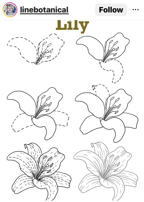 Simple Flower Drawing, Lilies Drawing, Flower Pattern Drawing, Draw Flowers, Flower Drawing Tutorials, Flower Art Drawing, Illustration Botanique, Soyut Sanat Tabloları, Flower Sketches