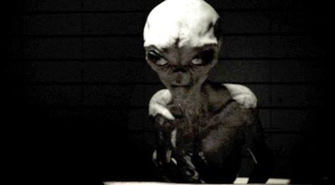 There’s a video that has been circulating recently online that purports to show an interview with an alien in a dark room of Roswell’s Area 51 in the year 1964. A man off-camera poses several quest… Ufos Are Real, Future Earth, Project Blue Book, Strange Events, Grey Alien, Alien Character, Aliens And Ufos, Paranormal Activity, Blue Book