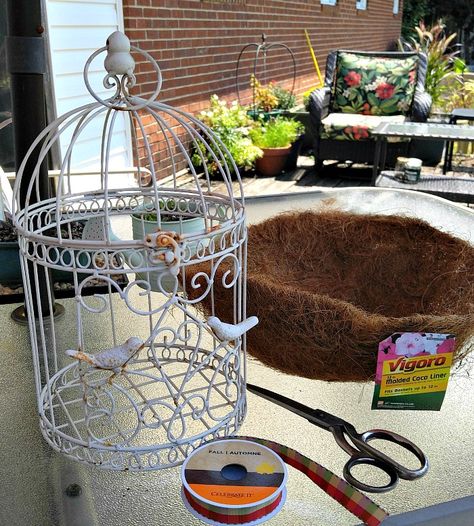 Succulent Birdcage, Windowsill Ideas, Birdcage Planter, Succulent Garden Indoor, Planter Project, Succulent Garden Diy, Bird Cage Decor, Front Yard Garden Design, Hanging Succulents