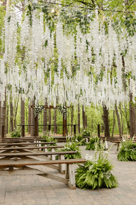 Whimsical Magical Wedding ceremony in the woods under gorgeous white Wisteria 

Venue: Hiwassee River Weddings & Events Wedding Woods Forest, Wedding Wisteria Decor, White Wisteria Wedding, Enchanted Forest Wedding Ceremony, Japanese Garden Wedding, River Weddings, Tree Wedding Ceremony, Forest Wedding Ceremony, Willow Tree Wedding