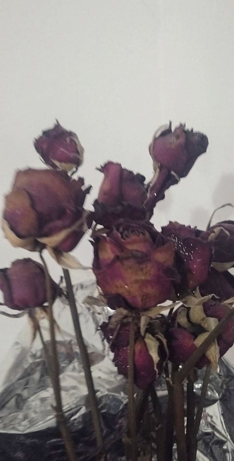 Rosas secas B13 Nissan, Wilted Flowers, Dead Flowers, Aesthetic Goth, Blurry Vision, Blog Pictures, Nothing But Flowers, Cute Flower Wallpapers, Garden Photos