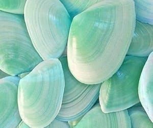 Tiffany Blue Wallpapers, Mint Green Decor, Mint Green Wallpaper Iphone, Sea Cottage, Mint Aesthetic, Mint Pastel, Baby Blue Wallpaper, Aqua Wallpaper, Green Pictures