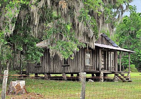 florida cracker house | This looks like our old cracker house in north florida Florida Cracker House, Micanopy Florida, Florida Cracker, Cracker House, Florida History, Florida Sunshine, North Florida, Florida Style, Florida Girl