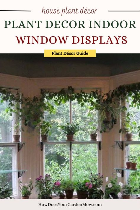 houseplants, plant decor, houseplant decor, succulent decor, indoor plants, indoor plant decor Big Window With Plants, Plants As Window Treatments, Indoor Window Planter Ideas, Plant Shelf In Front Of Window, Bay Window Plant Display, Plants In Window Ideas, Window Plant Decor, Plant Window Ideas, Window Plants Indoor